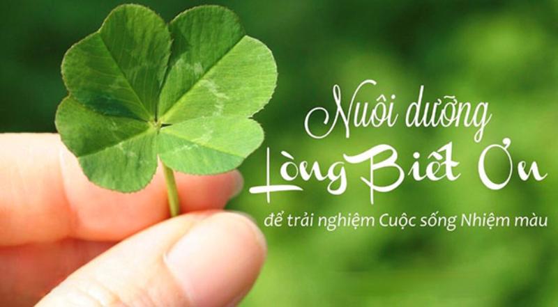 28 ngày thực hành lòng biết ơn