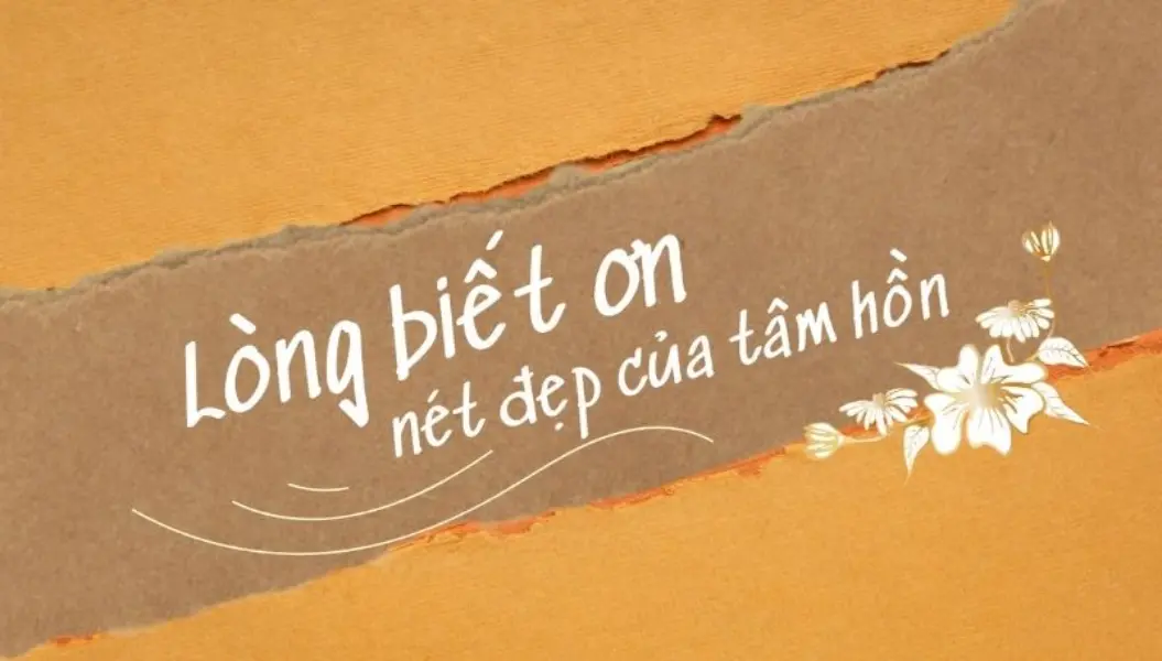 ảnh bài viết biết ơn