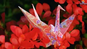 ảnh bài viết hạc giấy